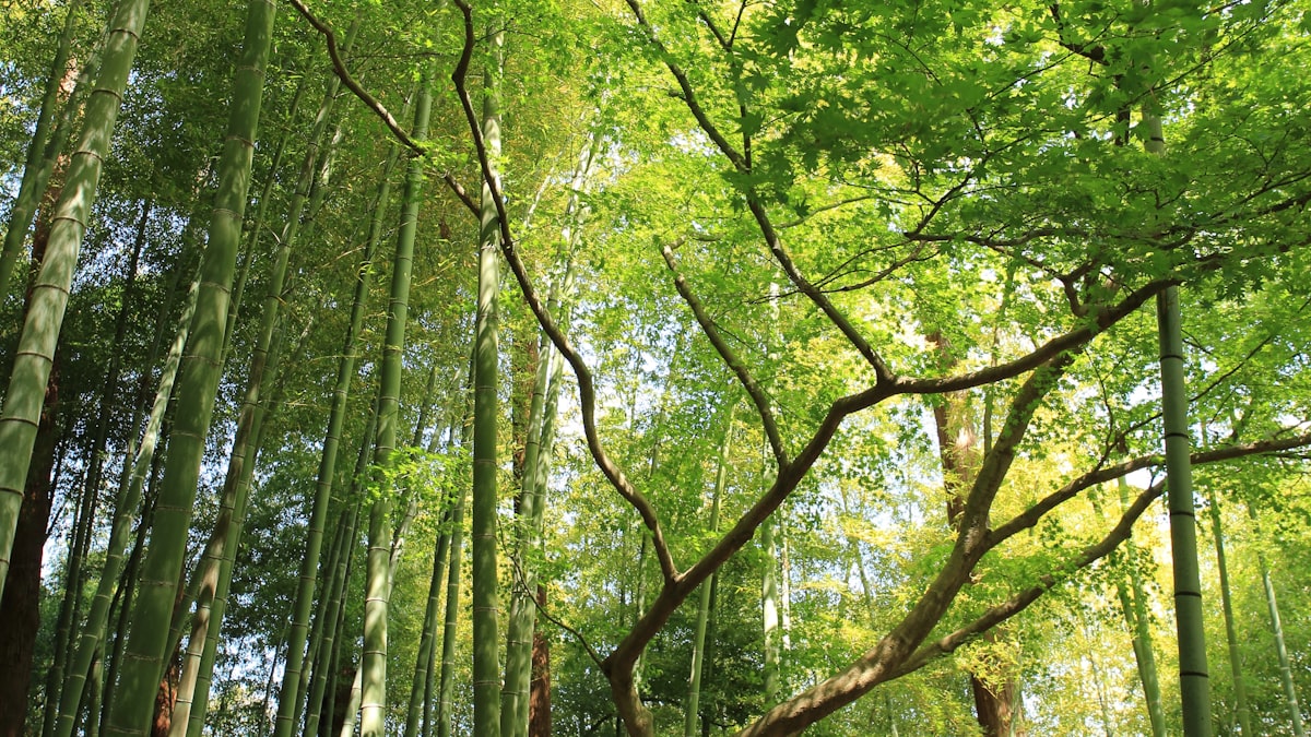 La rivincita della campagna: perché l'agriturismo italiano vola a numeri mai visti nel 2026